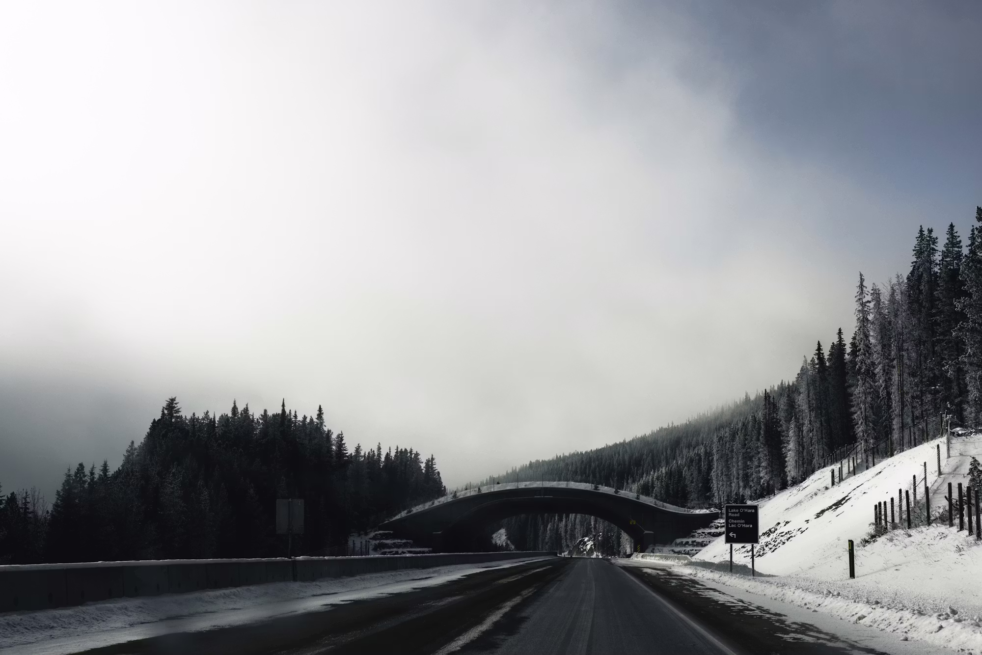 The Art of Home Brewing: Průvodce začátečníky k vytvoření vlastního piva